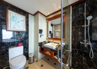 Dlg Hotel Danang