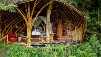 Bambu Indah