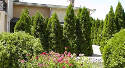 Usad'ba Marmazinskaja schel', фото 106