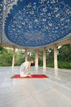 Ananda In The Himalayas