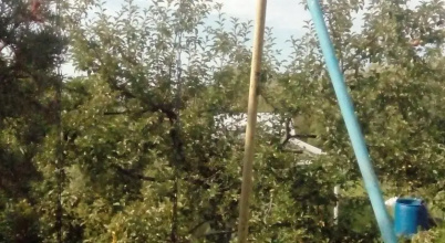 Вороново, фото 76