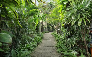 The Elysian Boutique Villa Hotel