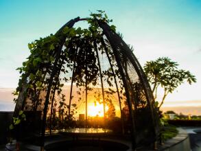 The Nest Hotel Bali