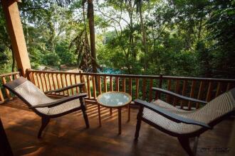 Jungle Village