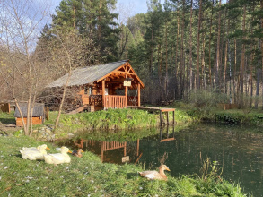База Отдыха Берендеевка, фото 72