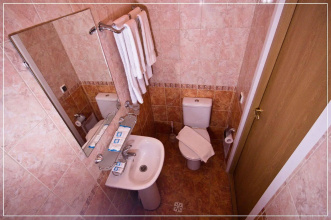 Отель Лебедушка на Энгельса, фото 27