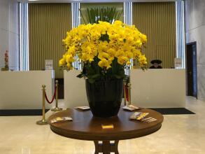 Yarra Ocean Suite Danang