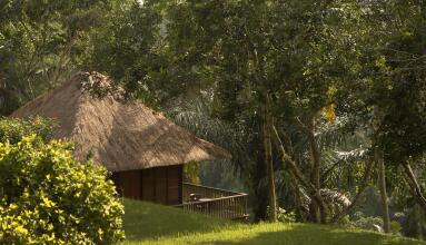 Alila Ubud