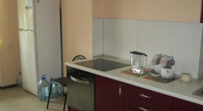 Podsolnukh Hostel, фото 108