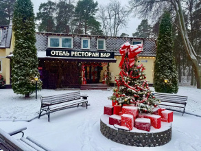 Отель Парк Отель, фото 107