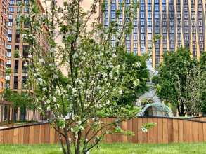 Апартаменты Comfort & Relax Home at Tsarskaya Ploshchad 7, фото 107