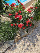 Апартаменты Holiday Home at Frunze, фото 34