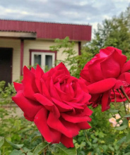 Парк-отель Кантри, фото 64