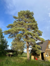 Гостевой дом Ладога Рядом, фото 40 Гостевой дом Ладога Рядом, фото 40