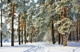 Гостевой Дом DUBRAVA, фото 60