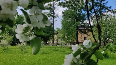 База Отдыха Староладожская Дача, фото 126
