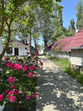 База отдыха Динамо 2, фото 10