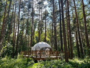 Парк-отель Хвоя, фото 58