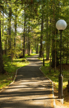 Отель Park Sagaan Morin, фото 33