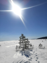 Отель Сегежа, фото 37