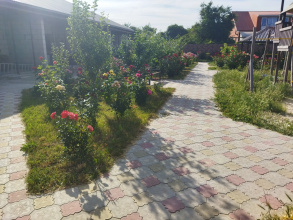 Гостевой дом Добрый Бобр, фото 114