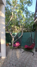 Vinograd Guest House, фото 79