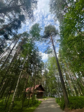 База Отдыха Загородный клуб Дача, фото 90