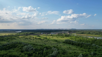 Ель, фото 64