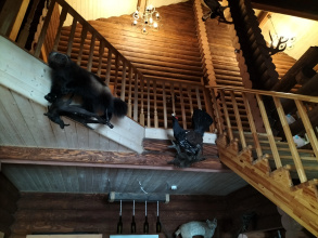 Гостевой дом Мышкин двор Барабановъ, фото 80 Гостевой дом Мышкин двор Барабановъ, фото 80