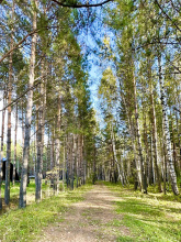 Гостиница Сосновый Бор, фото 75
