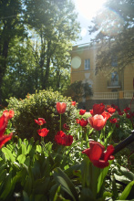 Гостиница Кочубей-центр, фото 60