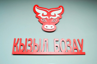 Отель Кызыл Бозау, фото 8