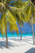 Hondaafushi Island Resort
