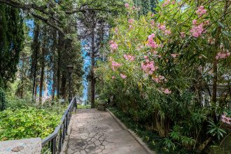 Парк-Отель Актер, фото 62