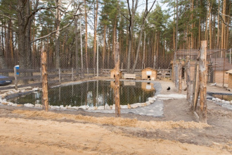 Отель Парк-отель Березка, фото 49 Отель Парк-отель Березка, фото 49