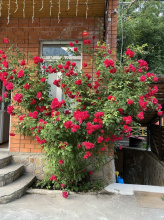 Отель Загородный Лотос, фото 43