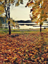 Отель Парк-отель Яркое, фото 97