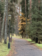 Jasnye Zori, фото 45