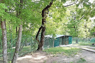 Гостевой Дом Бревенчатый, фото 116