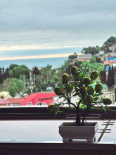 Меблированные комнаты Family Resort Hotel Miloo, фото 102