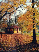 Отель Парк-отель Яркое, фото 60
