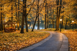 Фореста Фестиваль Парк Отель, фото 100