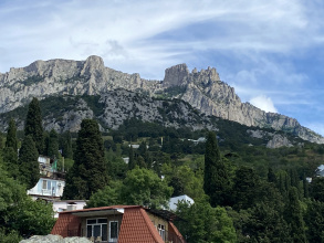 Отель Камелия, фото 19