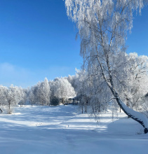 База Отдыха Эко-Клуб Голицыно, фото 81 База Отдыха Эко-Клуб Голицыно, фото 81