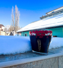 Хостел Свои в самом центре Пятигорска с великолепной террасой и видом на Горы, фото 154