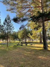 Гостевой дом Green gold park, фото 140 Гостевой дом Green gold park, фото 140