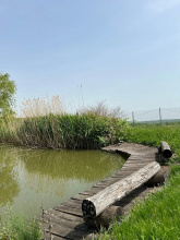 Отель Черкесский Аул, фото 88
