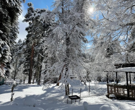 Отель Green Park Spa & Усадьба, фото 77 Отель Green Park Spa & Усадьба, фото 77