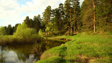 Гостевой Дом DUBRAVA, фото 62