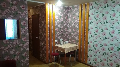 Апартаменты Комната со всеми удобствами, фото 28